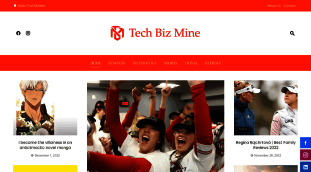 techbizmine.com