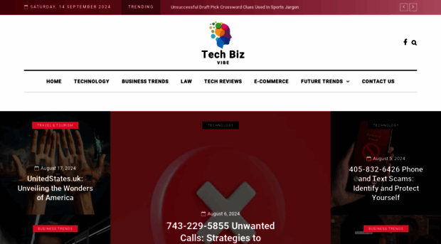 techbizvibe.com