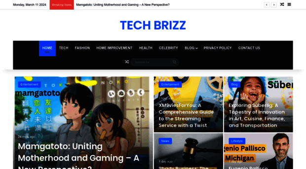 techbrizz.com