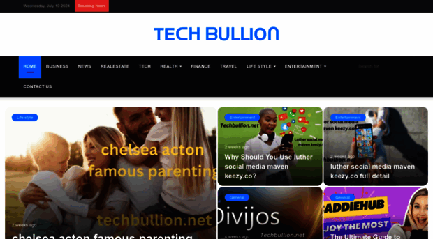 techbullion.net