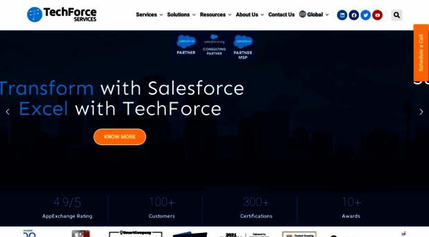 techforceservices.com