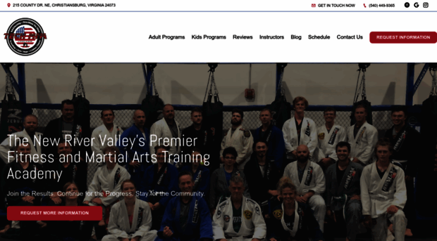 techmmaacademy.com