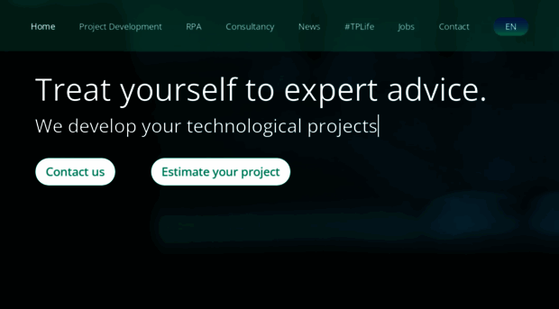 technologypartner.io