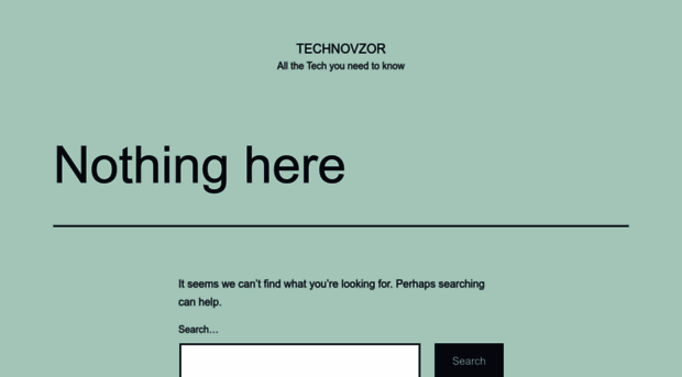 technovzor.com