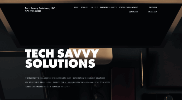 techsavvysolutionsllc.com