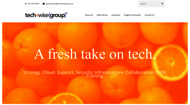 techwisegroup.com