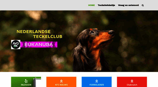 teckelclub.nl