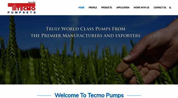 tecmopumps.com