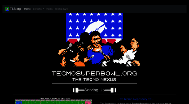 tecmosuperbowl.org