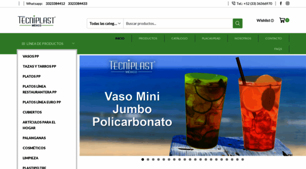 tecniplastmexico.com