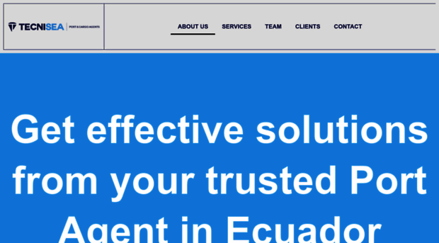 tecnisea.com.ec