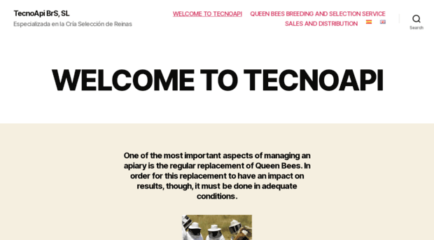 tecnoapi.com