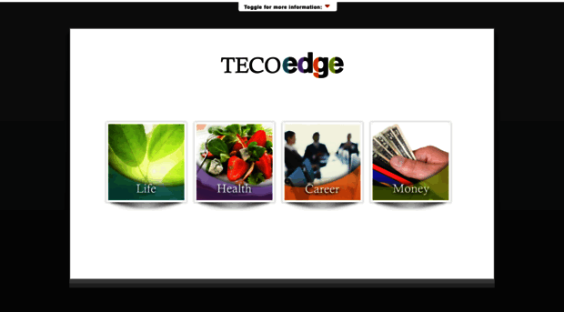 tecoedge.tecoenergy.com