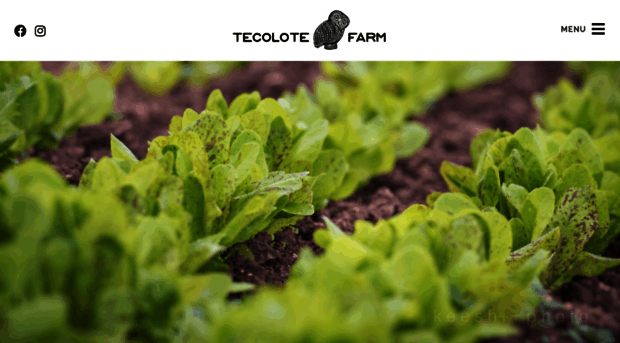 tecolotefarm.net