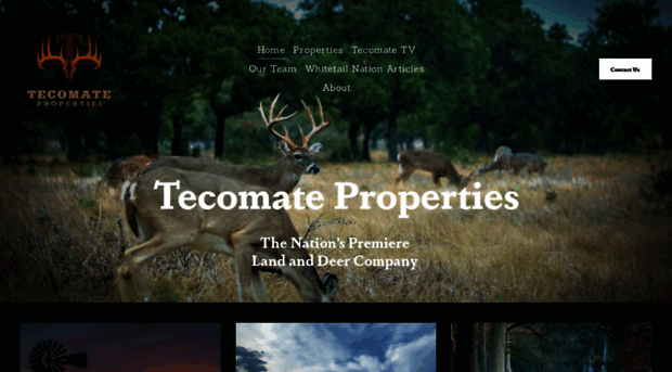 tecomateproperties.com