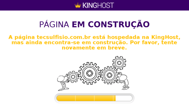 tecsulfisio.com.br