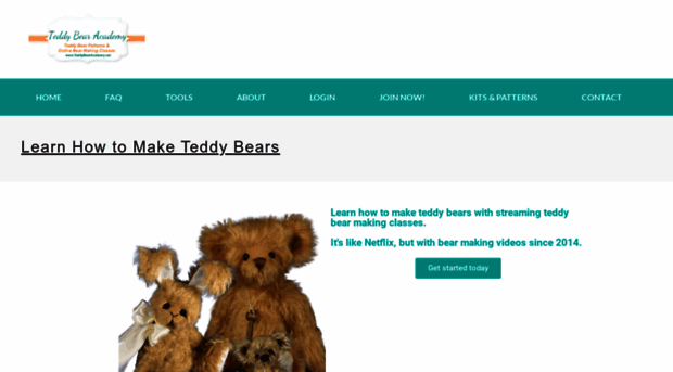 teddybearacademy.net