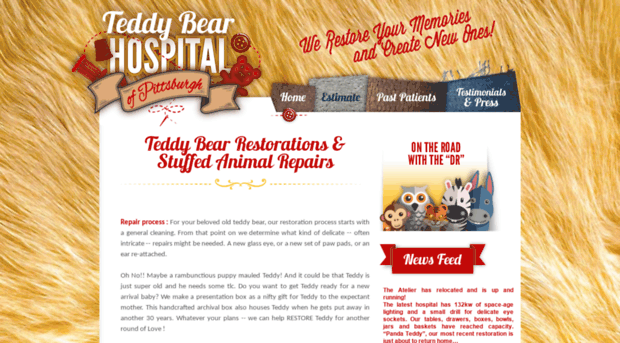 teddybearhospitalofpittsburgh.com