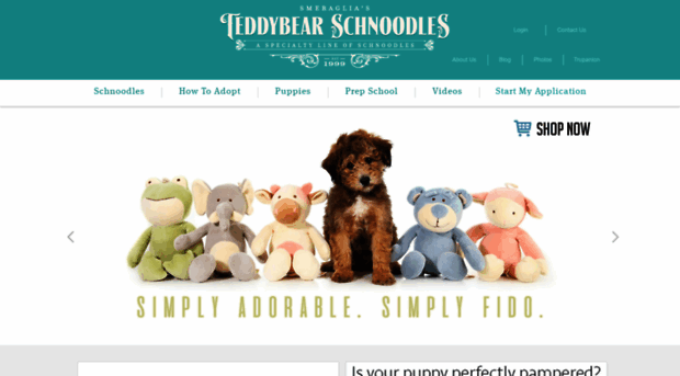 teddybearschnoodles.com