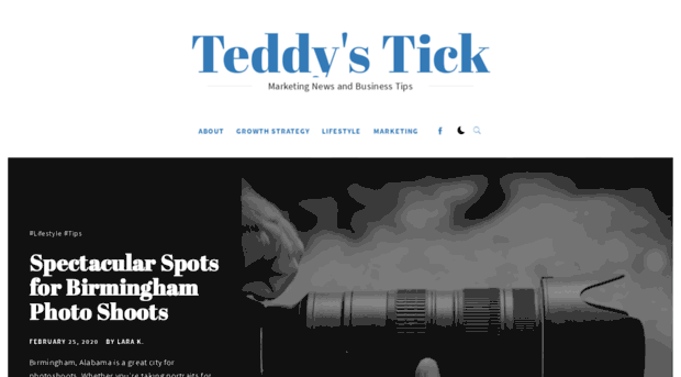 teddystick.com