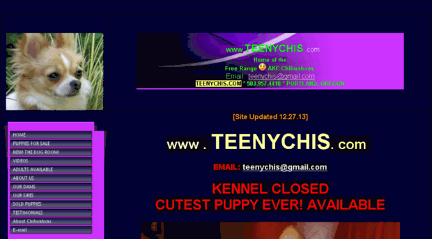 teenychis.com