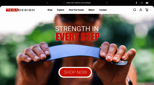 tegadesign.com