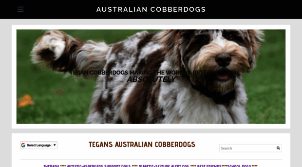 tegancobberdogs.com