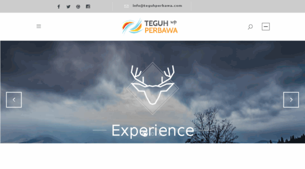 teguhperbawa.com