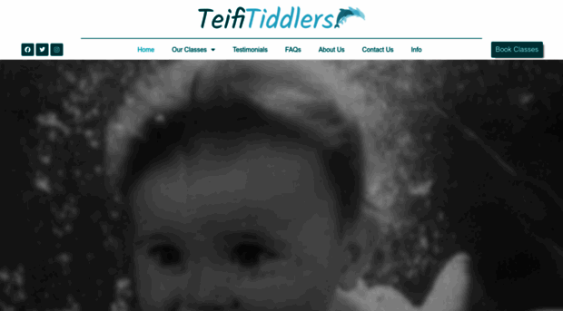 teifi-tiddlers.co.uk