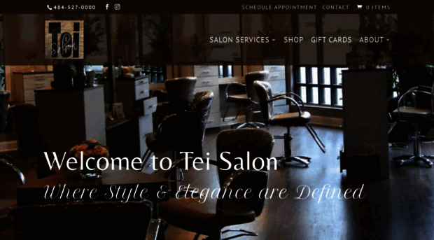 teisalon.com