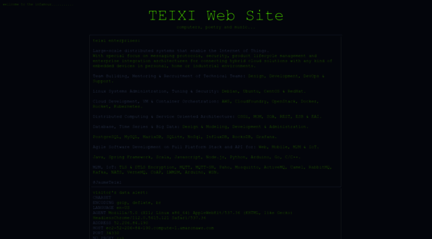 teixi.net