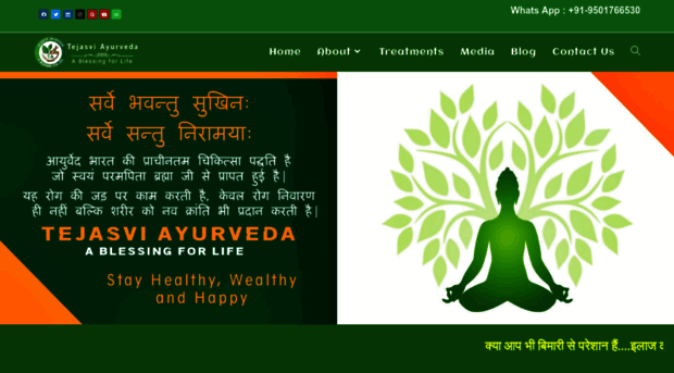 tejasviayurveda.com