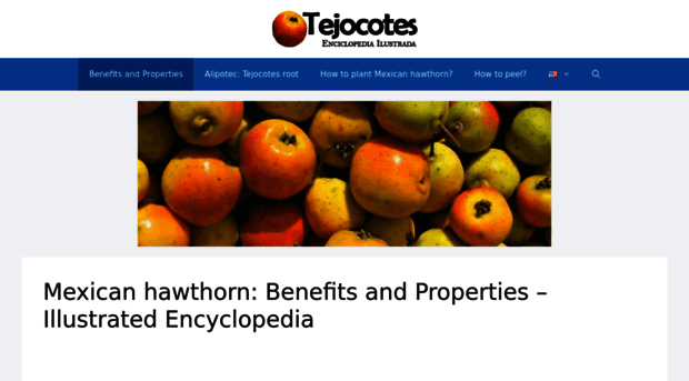 tejocotes.com