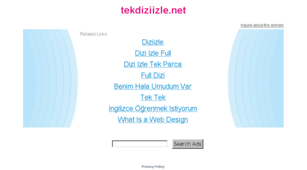 tekdiziizle.net