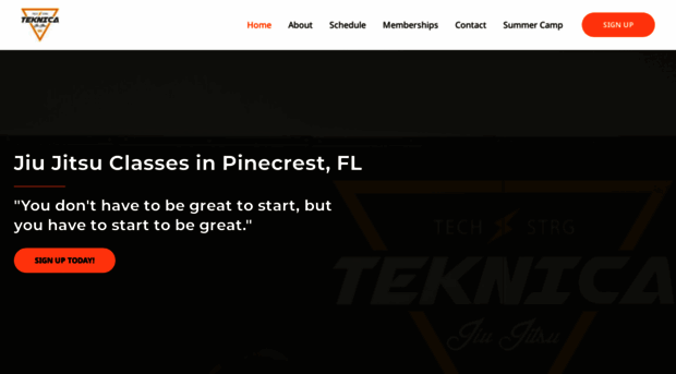 teknicabjj.com