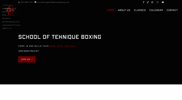 tekniqueboxing.com