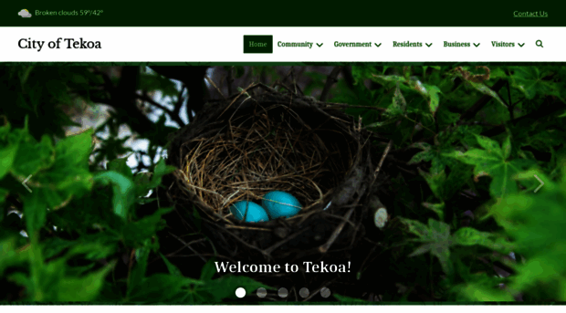 tekoawa.com