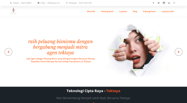 tektaya.com