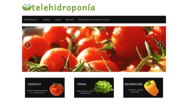 telehidroponia.com