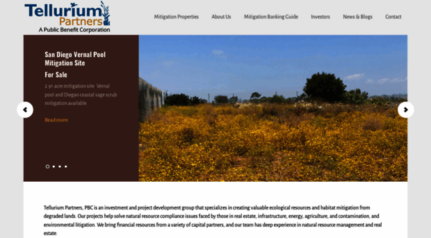 telluriumpartners.com