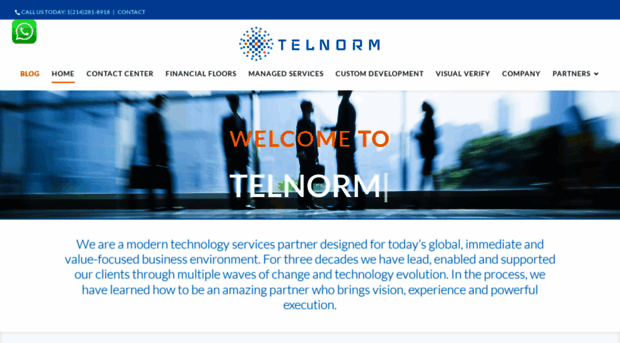 telnorm.com