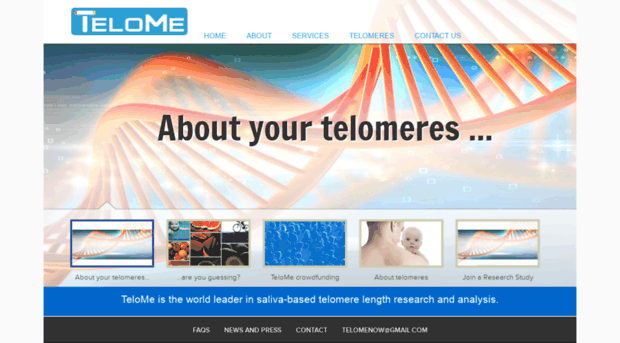 telome.com