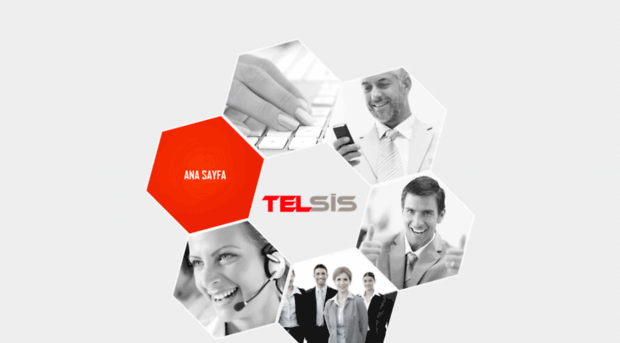 telsis.com.tr