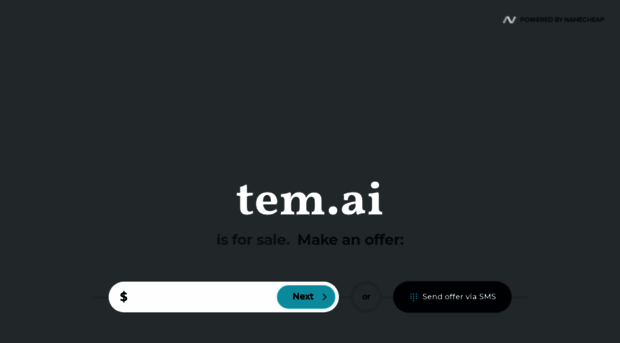 tem.ai