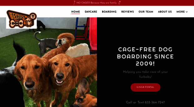 tempedogs.com