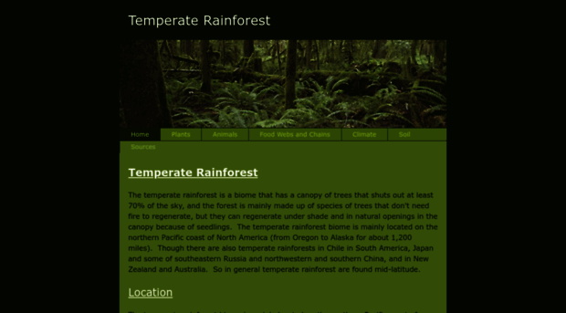 temperaterainforestelynam.weebly.com