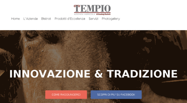 tempio.eu