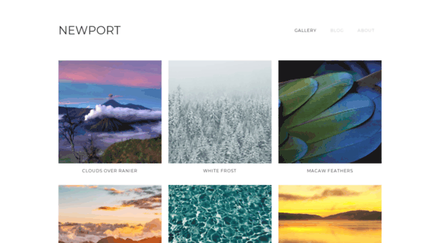 template-newport.webflow.io