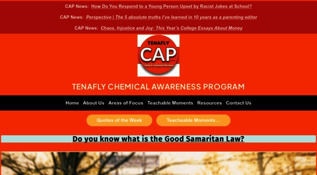 tenaflycap.org