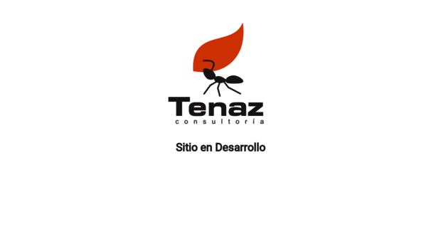 tenaz.cl